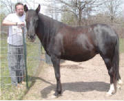 april41505b.jpg