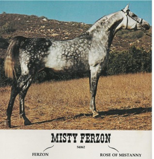 mistyferzon2.jpg